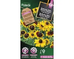 Protecta Bloemen zaden: Rudbeckia Hirta Gloriosa Daisies