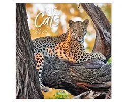 Big Cats Kalender 2027