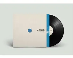 Mystery Jets - A Hole To See The Sky Through (LP)