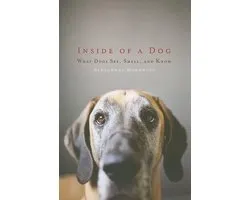 Inside of a Dog