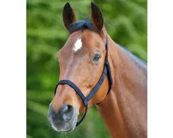 Weide Halster