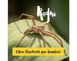 Ragni