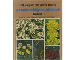 Het grote Bruna geneeskrachtige kruiden-boek