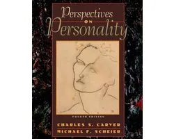 Perspectives on Personality