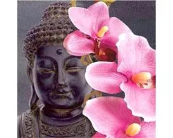 Diamond painting 30x30cm - buddha ( ronde steentjes )