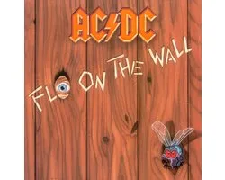 Fly on the Wall