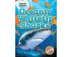 Shark Frenzy- Oceanic Whitetip Sharks