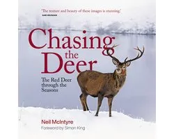 Chasing the Deer