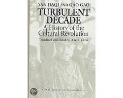 Turbulent Decade