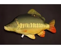Kussen vis - Karper - Meerkleurig - Vismodel kussen - Groot formaat - Sierkussen - 60 cm