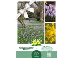 Cadeauverpakking Mengsel Verwilderingsbollen Boerencrocus & Bostulp - 35 bloembollen in 2 soorten