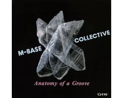 Anatomy Of A Groove