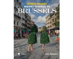(Even more) weird things in Brussels