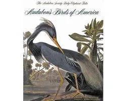 Audubon's Birds of America