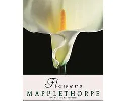 Robert Mapplethorpe
