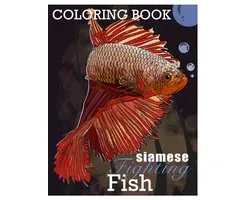 Siamese Fighting Fish Betta Fish Coloring Book