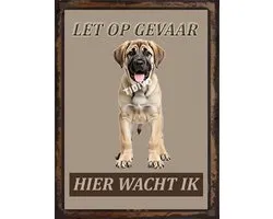 Kangal Köpek 18