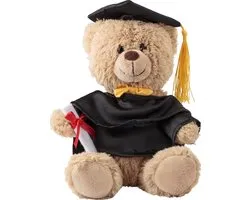 Impression Knuffelbeertje Magnus - Afstudeerbeer van 20 cm - Geslaagd cadeau