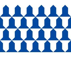 Vlag Awans 120x180cm
