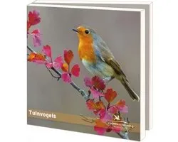 Bekking & Blits - Wenskaartenmapje - Set wenskaarten - Kunstkaarten - Museumkaarten - 10 stuks - Inclusief enveloppen - Dieren - Vogels - Tuinvogels - Vogelbescherming Nederland