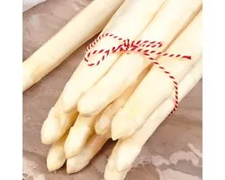 Graines d'asperges Argenteuil Asparagus officinalis vivaces