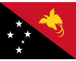 Vlag Papoea-Nieuw-Guinea 70x100cm