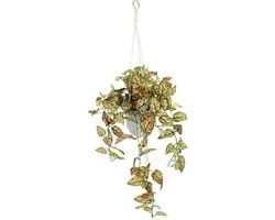 Fittonia Artificial Philo Hanging Lamp with Pot, Artificial Plant, Vines, Garland, Green Plant, Decorative Plant Hanger, Green Plant, Indoor Plant, Ivy Ivy Flower Pendant, Potted Plant, Artificial