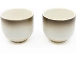 Bredemeijer - Kopjes Fujian porselein - theemok set van 2
