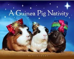 A Guinea Pig Nativity