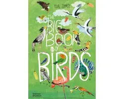 The Big Book of Birds