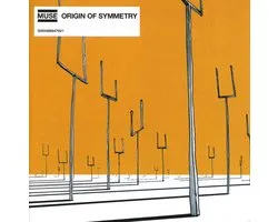 Origin Of Symmetry