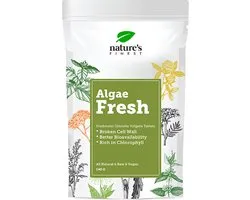 Algues fraîches | Une solution naturelle et efficace contre la mauvaise haleine