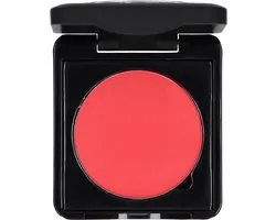 Make-up Studio Blusher in Box Type B - 43