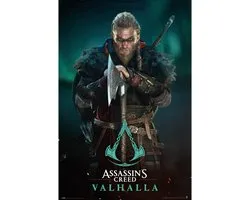 Assassins Creed poster - Valhalla - gaming - Vikingen - 61 x 91.5 cm