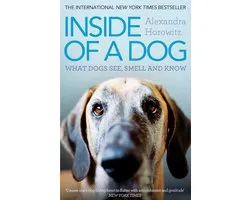 Inside Of A Dog