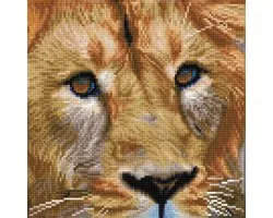 DIAMOND DOTZ Serengeti Magic - Diamond Painting - 11.236 Dotz - 30x30 cm