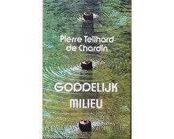 Goddelijk milieu