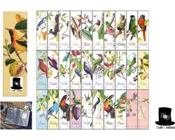 Bob Online ™ - 30 Pièces - Marque-pages Vogel - Marque-pages en Carton - Marque-pages oiseaux - Carte à message - Marque-pages - Marqueurs -pages - DIY Décoration Scrapbooking & Carterie Etc.