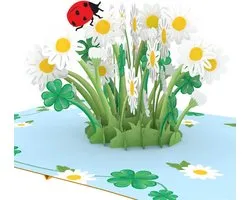 papercrush Ladybug & Daisy Pop Up Card - 3D Congratulatory Card (Birthday Card, Good Luck & Success, Test Card, Good - ShopVlot