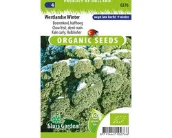 Sluis Garden - Boerenkool Westlandse Winter BIO