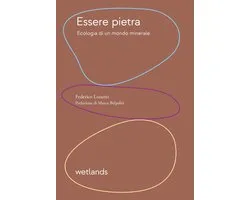 Essere pietra