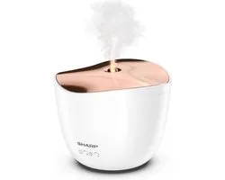 Aroma Diffuser - air purifier for large rooms | Relax accessories – Aroma diffuser - Aromadiffuser