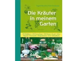 Die Kräuter in meinem Garten
