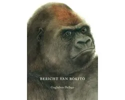 Bericht Van Bokito