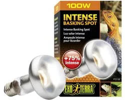 Exo Terra Basking  - Spot Lamp - Terrarium Verlichting - 100W