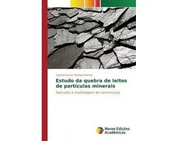 Estudo da quebra de leitos de partículas minerais