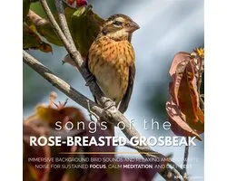 Songs of the Rose-Breasted Grosbeak
