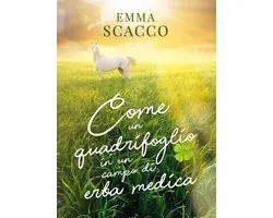 Come un quadrifoglio in un campo di erba medica