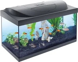 Starter Line Aquarium - Zwart Led - 54 Liter - Incl. Filter en Verwarming