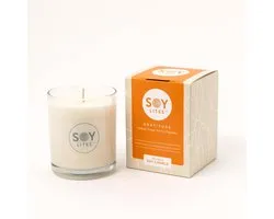 Bougie parfumée d'intérieur Soylites Soy Gratitude avec Patchouli, Oudh, Néroli et Menthe poivrée. 15 heures